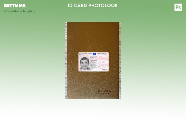 Модерен стил на Австрија ID сегашен шаблон за фото изглед на предниот дел